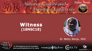 Nov 2018 NLMC : Witness (part 1 and part 2)